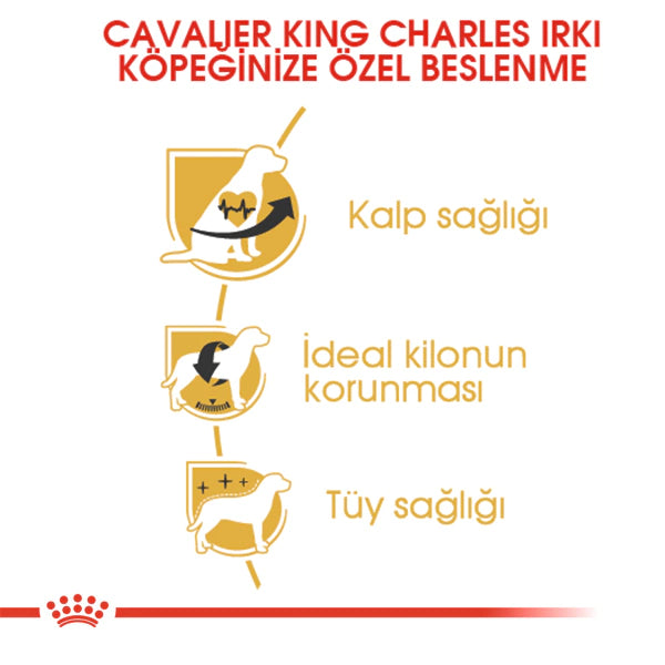 Royal Canin Cavalier King Charles 27 Yetişkin Köpek Maması 1.5kg