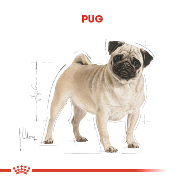 Royal Canin Pug Yetişkin Köpek Maması 1.5kg