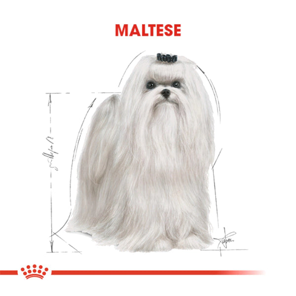 Royal Canin Maltese Terrier Yetişkin Köpek Maması 1.5kg