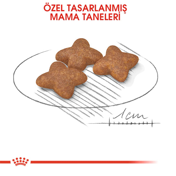Royal Canin Mini Küçük Irk Yetişkin Köpek Maması 2kg