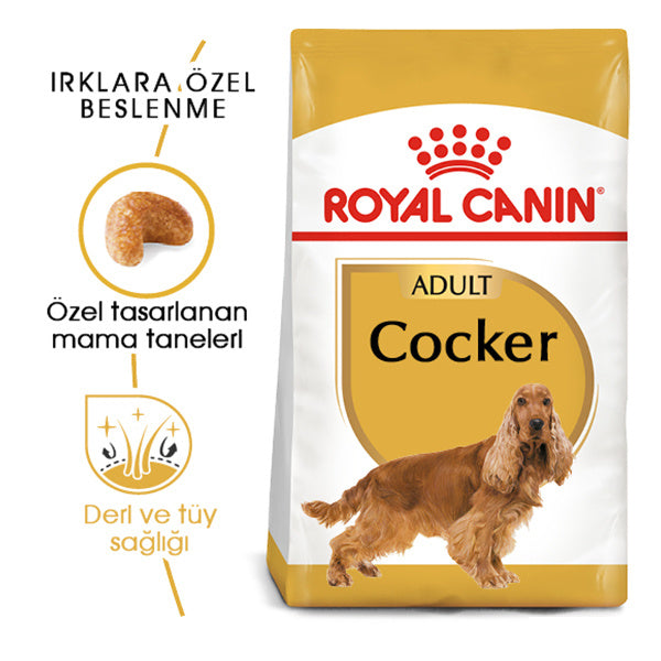 Royal Canin Cocker Spaniel 25 Yetişkin Köpek Maması 3kg