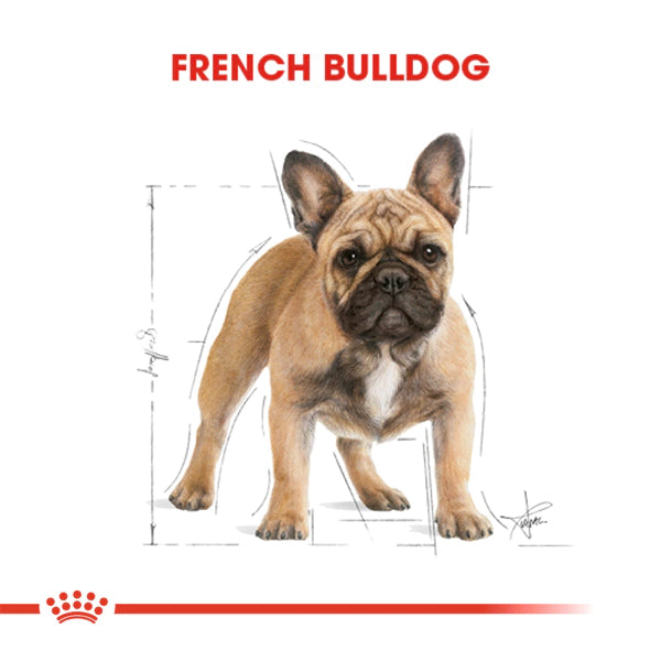 Royal Canin French Bulldog Yetişkin Köpek Maması 3kg