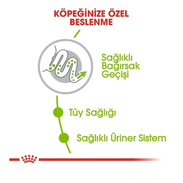 Royal Canin X-Small Küçük Irk Yetişkin Köpek Maması 3kg