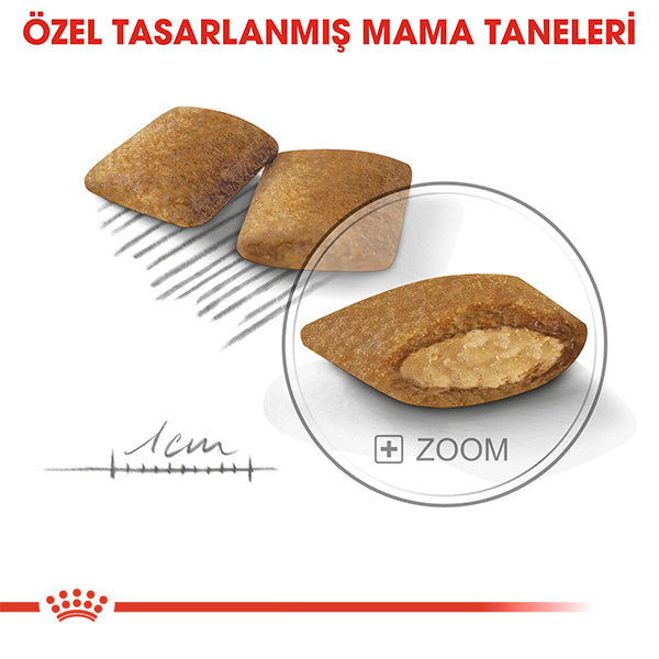 Royal Canin Exigent Mini Yetişkin Köpek Maması 3kg