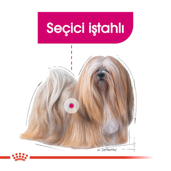 Royal Canin Exigent Mini Yetişkin Köpek Maması 3kg