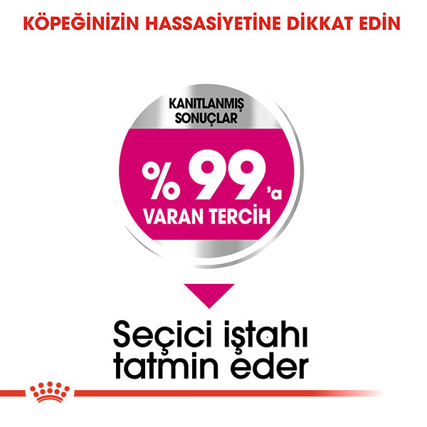 Royal Canin Exigent Mini Yetişkin Köpek Maması 3kg