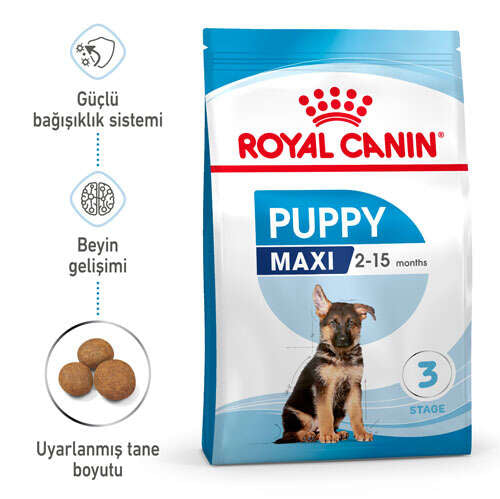 Royal Canin Maxi Puppy Büyük Irk Yavru Köpek Maması 15kg